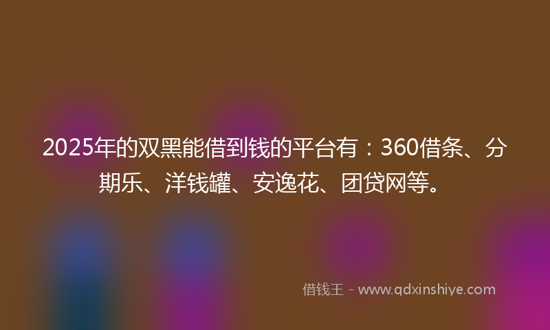 2025年的双黑能借到钱的平台有：360借条、分期乐、洋钱罐、安逸花、团贷网等。