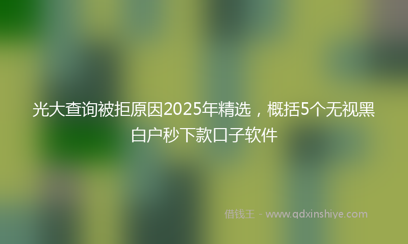 光大查询被拒原因2025年精选，概括5个无视黑白户秒下款口子软件