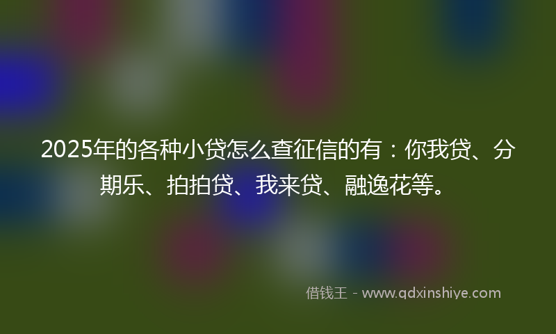 2025年的各种小贷怎么查征信的有：你我贷、分期乐、拍拍贷、我来贷、融逸花等。