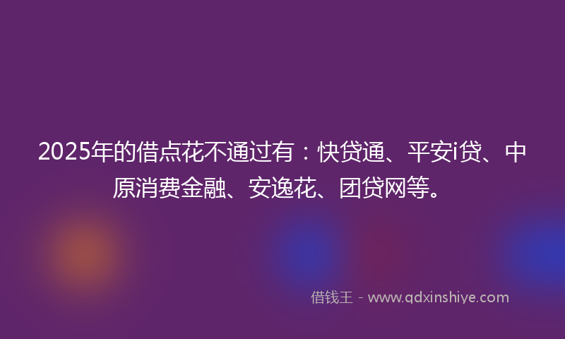 2025年的借点花不通过有：快贷通、平安i贷、中原消费金融、安逸花、团贷网等。