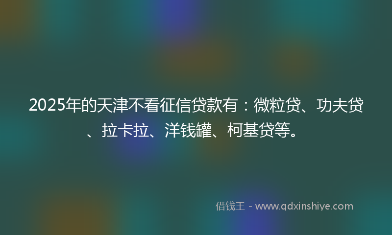 2025年的天津不看征信贷款有：微粒贷、功夫贷、拉卡拉、洋钱罐、柯基贷等。