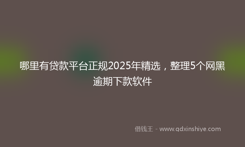 哪里有贷款平台正规2025年精选，整理5个网黑逾期下款软件