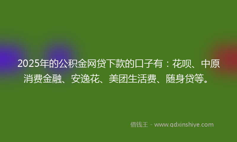 2025年的公积金网贷下款的口子有：花呗、中原消费金融、安逸花、美团生活费、随身贷等。