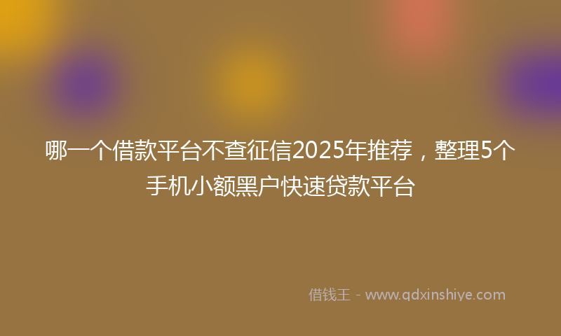 哪一个借款平台不查征信2025年推荐，整理5个手机小额黑户快速贷款平台