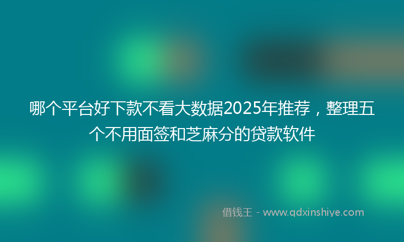 哪个平台好下款不看大数据2025年推荐，整理五个不用面签和芝麻分的贷款软件