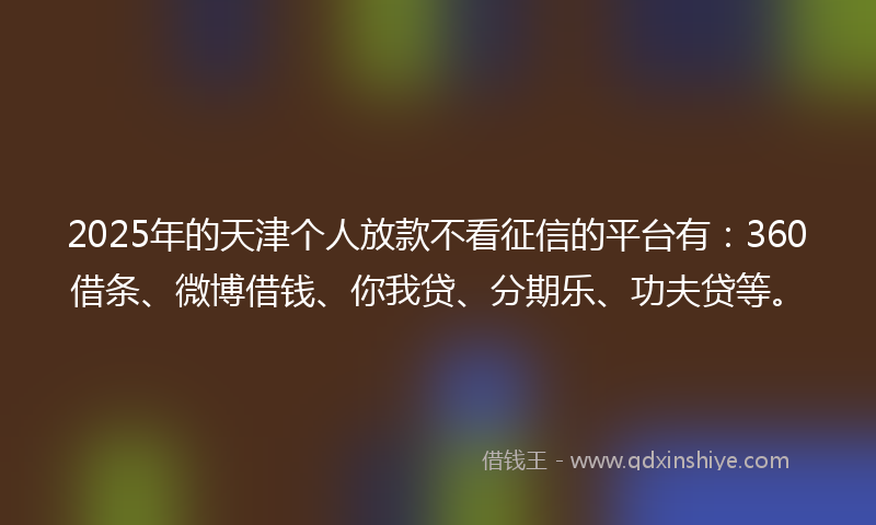 2025年的天津个人放款不看征信的平台有：360借条、微博借钱、你我贷、分期乐、功夫贷等。