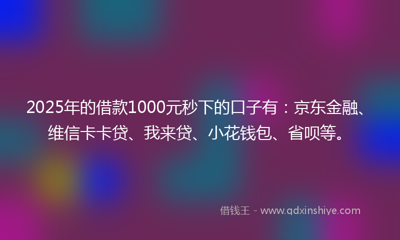 2025年的借款1000元秒下的口子有：京东金融、维信卡卡贷、我来贷、小花钱包、省呗等。