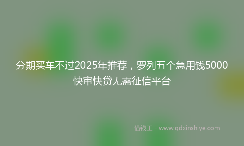 分期买车不过2025年推荐，罗列五个急用钱5000快审快贷无需征信平台