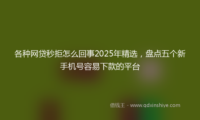 各种网贷秒拒怎么回事2025年精选，盘点五个新手机号容易下款的平台