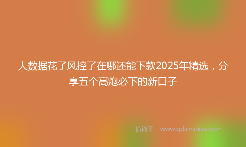 大数据花了风控了在哪还能下款2025年精选，分享五个高炮必下的新口子