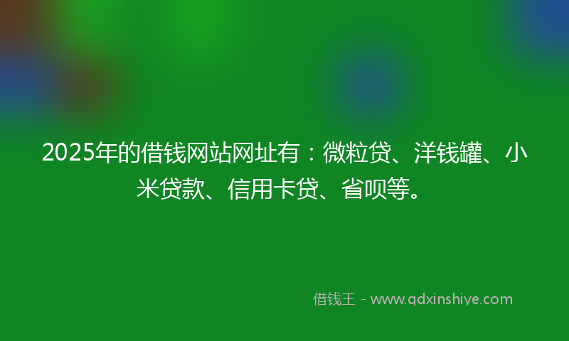 2025年的借钱网站网址有：微粒贷、洋钱罐、小米贷款、信用卡贷、省呗等。