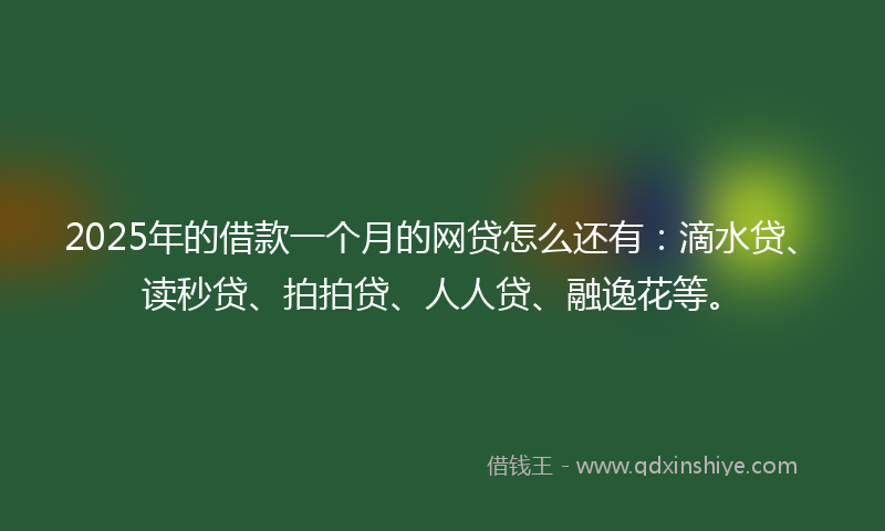 2025年的借款一个月的网贷怎么还有：滴水贷、读秒贷、拍拍贷、人人贷、融逸花等。