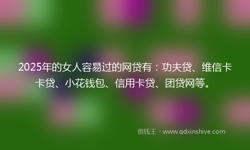 2025年的女人容易过的网贷有：功夫贷、维信卡卡贷、小花钱包、信用卡贷、团贷网等。
