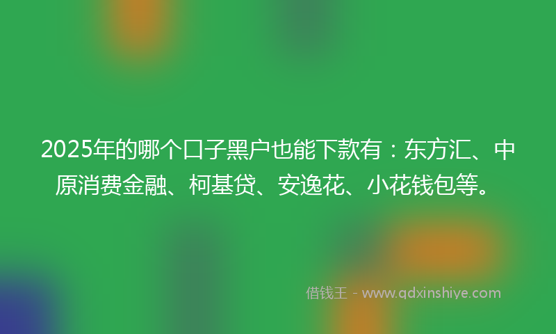 2025年的哪个口子黑户也能下款有：东方汇、中原消费金融、柯基贷、安逸花、小花钱包等。