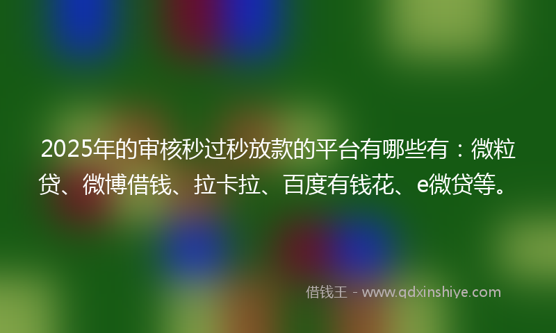 2025年的审核秒过秒放款的平台有哪些有：微粒贷、微博借钱、拉卡拉、百度有钱花、e微贷等。