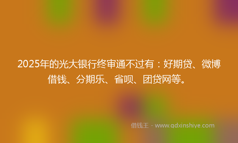 2025年的光大银行终审通不过有：好期贷、微博借钱、分期乐、省呗、团贷网等。