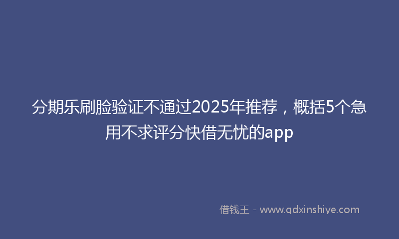 分期乐刷脸验证不通过2025年推荐，概括5个急用不求评分快借无忧的app