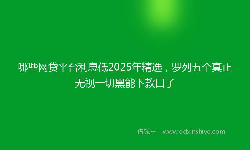 哪些网贷平台利息低2025年精选，罗列五个真正无视一切黑能下款口子
