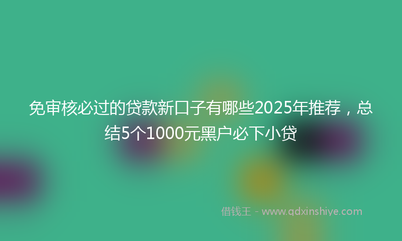免审核必过的贷款新口子有哪些2025年推荐，总结5个1000元黑户必下小贷