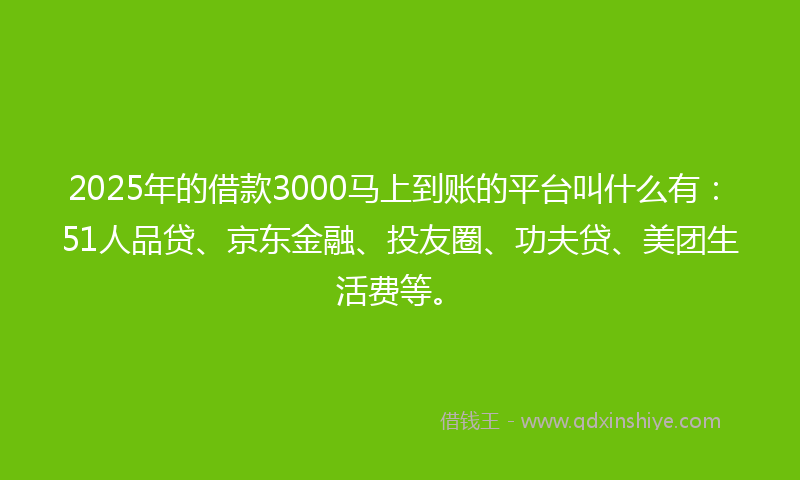 2025年的借款3000马上到账的平台叫什么有：51人品贷、京东金融、投友圈、功夫贷、美团生活费等。