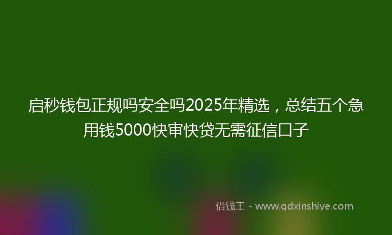 启秒钱包正规吗安全吗2025年精选，总结五个急用钱5000快审快贷无需征信口子