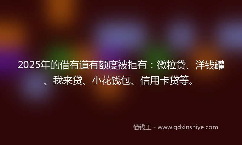 2025年的借有道有额度被拒有：微粒贷、洋钱罐、我来贷、小花钱包、信用卡贷等。