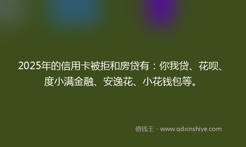 2025年的信用卡被拒和房贷有：你我贷、花呗、度小满金融、安逸花、小花钱包等。