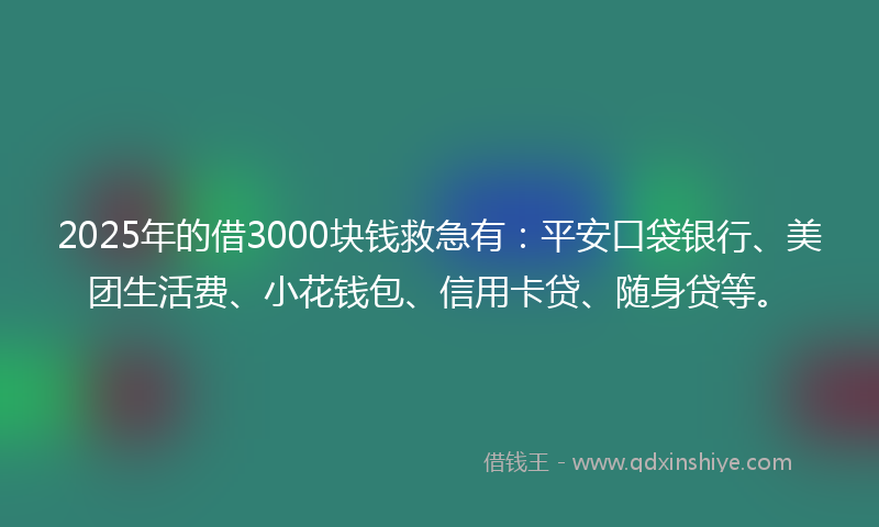 2025年的借3000块钱救急有：平安口袋银行、美团生活费、小花钱包、信用卡贷、随身贷等。