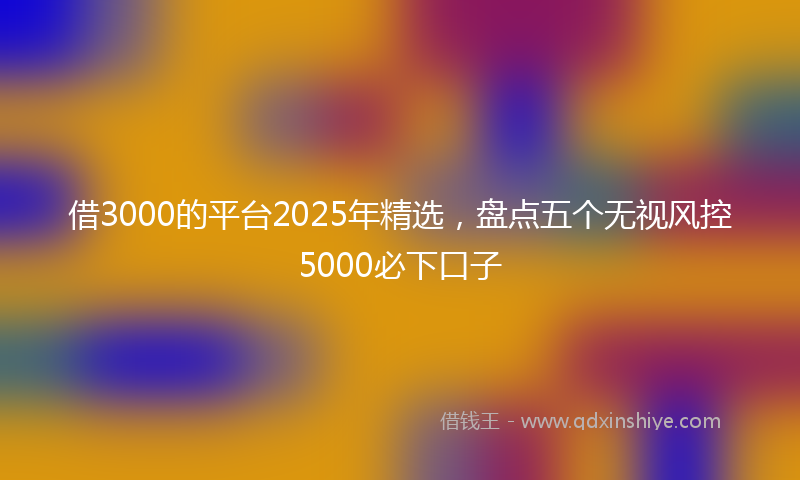 借3000的平台2025年精选，盘点五个无视风控5000必下口子