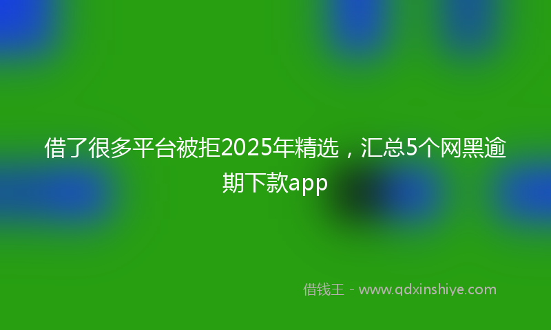 借了很多平台被拒2025年精选，汇总5个网黑逾期下款app