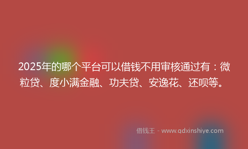 2025年的哪个平台可以借钱不用审核通过有：微粒贷、度小满金融、功夫贷、安逸花、还呗等。