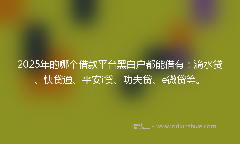 2025年的哪个借款平台黑白户都能借有：滴水贷、快贷通、平安i贷、功夫贷、e微贷等。