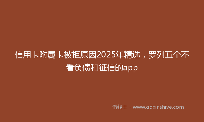 信用卡附属卡被拒原因2025年精选，罗列五个不看负债和征信的app