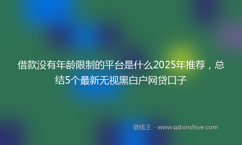 借款没有年龄限制的平台是什么2025年推荐，总结5个最新无视黑白户网贷口子