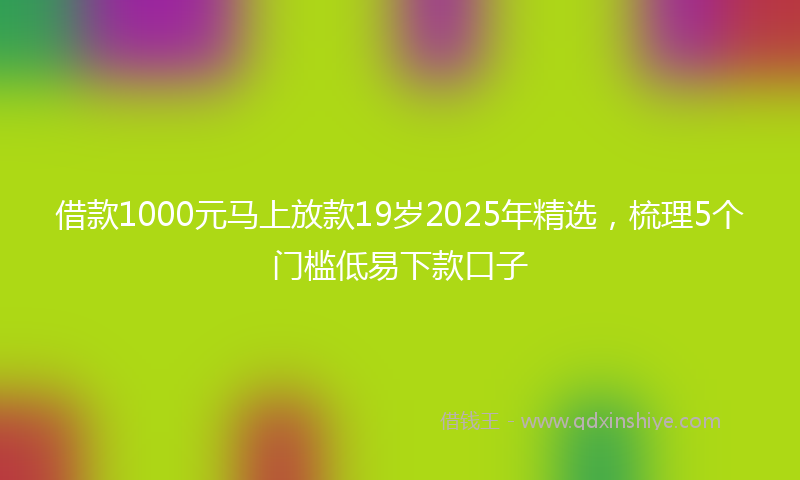 借款1000元马上放款19岁2025年精选，梳理5个门槛低易下款口子