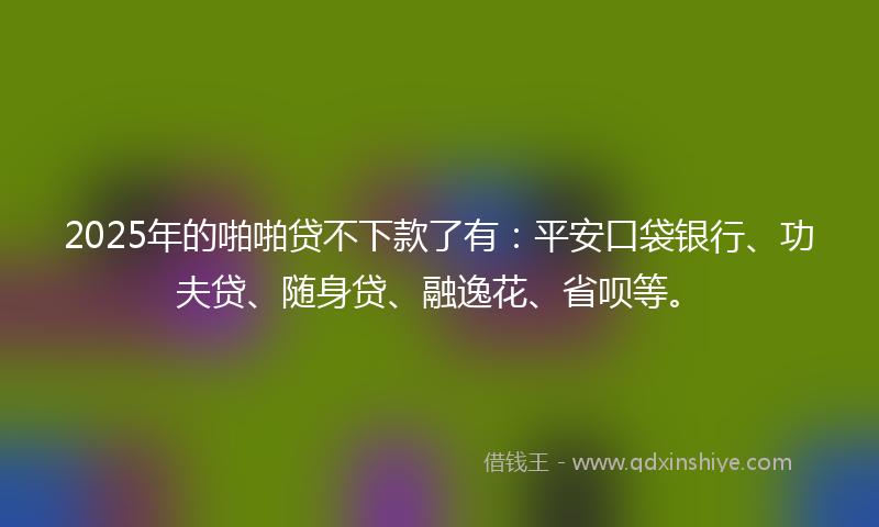 2025年的啪啪贷不下款了有：平安口袋银行、功夫贷、随身贷、融逸花、省呗等。