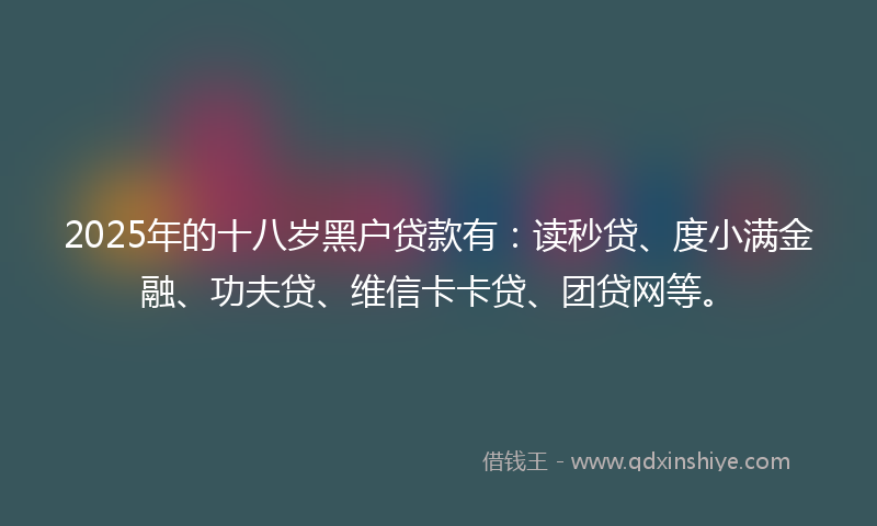 2025年的十八岁黑户贷款有：读秒贷、度小满金融、功夫贷、维信卡卡贷、团贷网等。