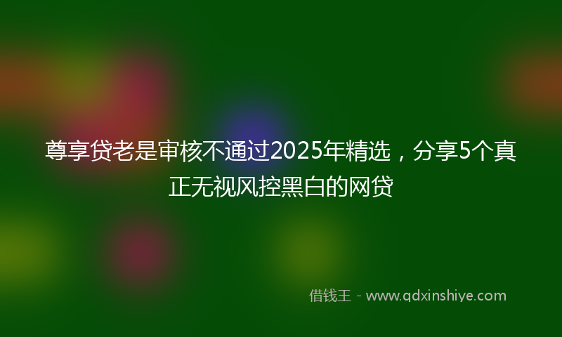 尊享贷老是审核不通过2025年精选，分享5个真正无视风控黑白的网贷