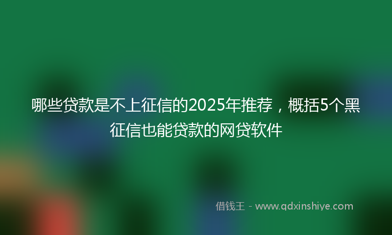 哪些贷款是不上征信的2025年推荐，概括5个黑征信也能贷款的网贷软件