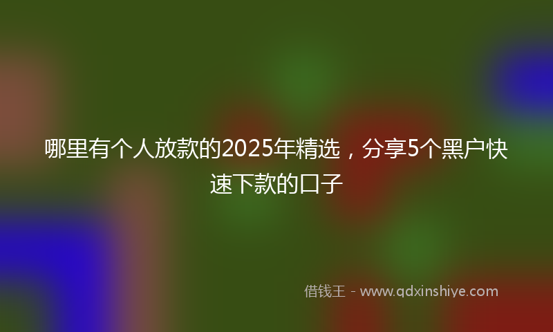 哪里有个人放款的2025年精选，分享5个黑户快速下款的口子