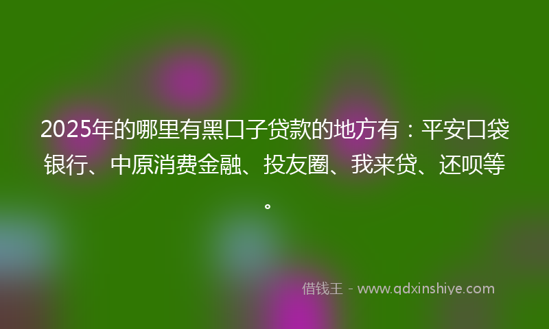2025年的哪里有黑口子贷款的地方有：平安口袋银行、中原消费金融、投友圈、我来贷、还呗等。