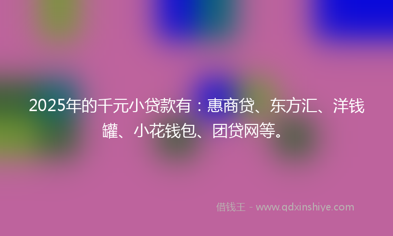 2025年的千元小贷款有：惠商贷、东方汇、洋钱罐、小花钱包、团贷网等。