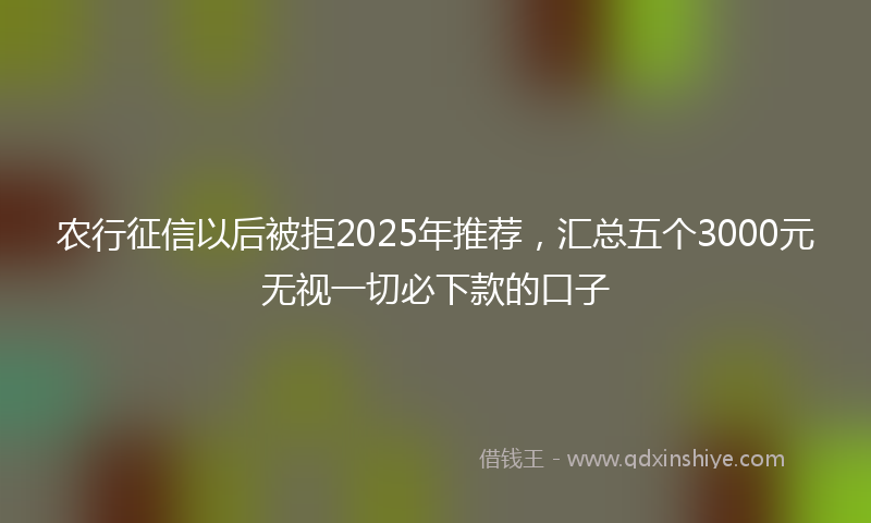 农行征信以后被拒2025年推荐，汇总五个3000元无视一切必下款的口子
