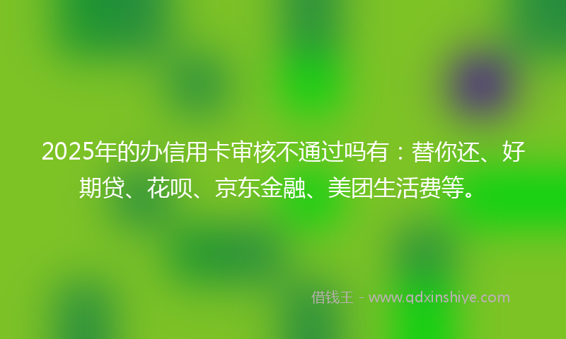 2025年的办信用卡审核不通过吗有：替你还、好期贷、花呗、京东金融、美团生活费等。