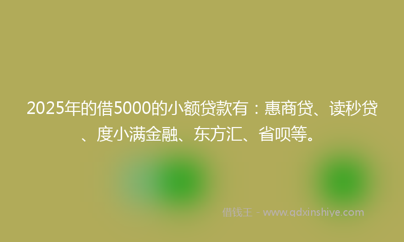 2025年的借5000的小额贷款有：惠商贷、读秒贷、度小满金融、东方汇、省呗等。
