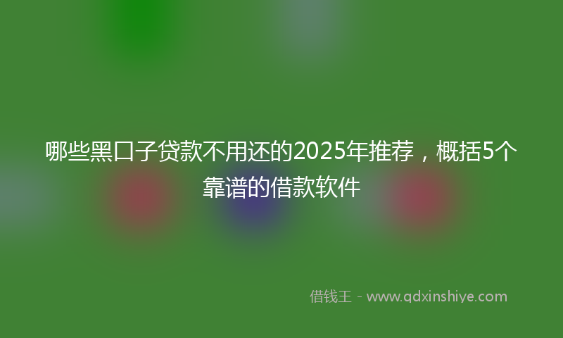 哪些黑口子贷款不用还的2025年推荐，概括5个靠谱的借款软件