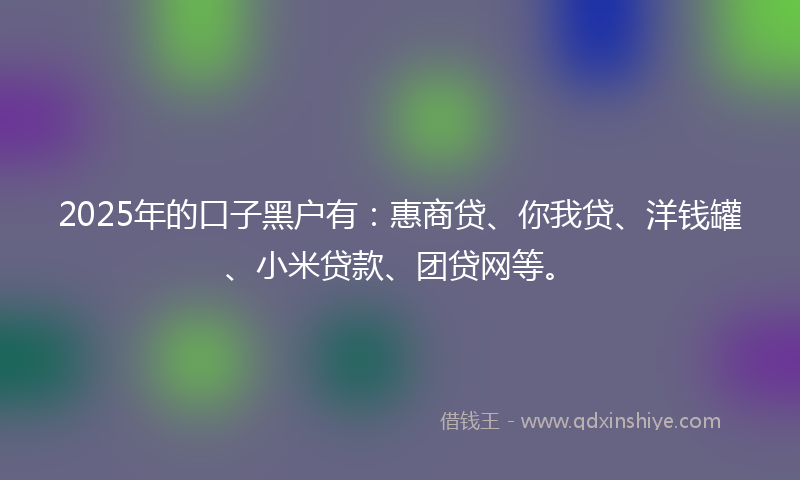 2025年的口子黑户有：惠商贷、你我贷、洋钱罐、小米贷款、团贷网等。