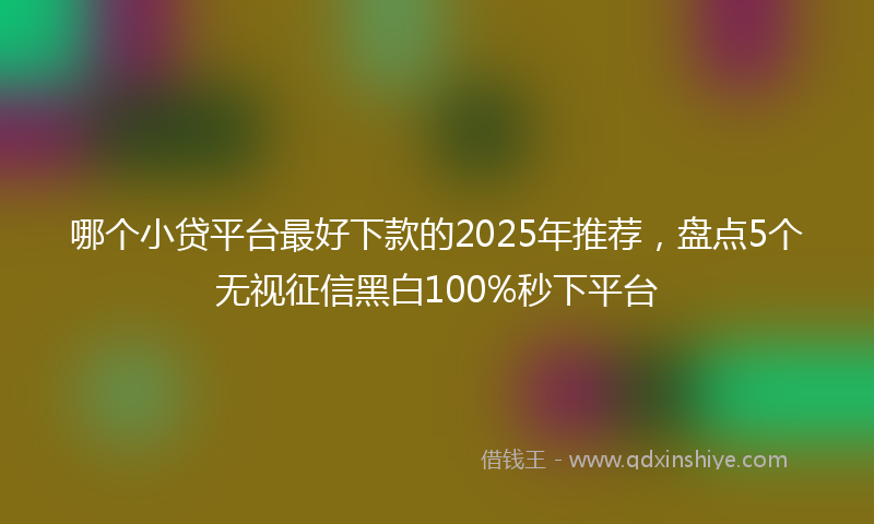 哪个小贷平台最好下款的2025年推荐，盘点5个无视征信黑白100%秒下平台