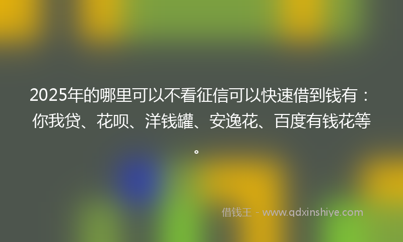 2025年的哪里可以不看征信可以快速借到钱有：你我贷、花呗、洋钱罐、安逸花、百度有钱花等。