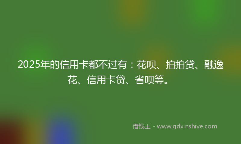 2025年的信用卡都不过有：花呗、拍拍贷、融逸花、信用卡贷、省呗等。